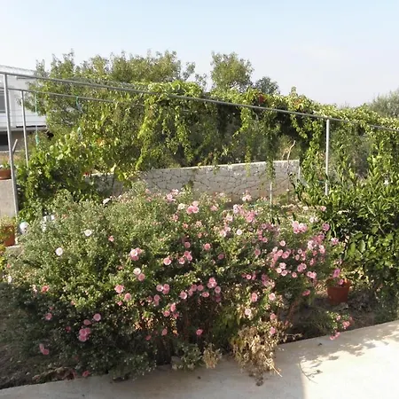 Appartement Przina 856-3 Lumbarda