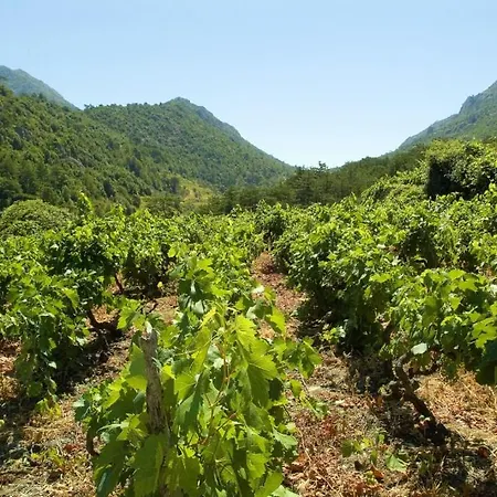 Appartement Przina 856-3 *